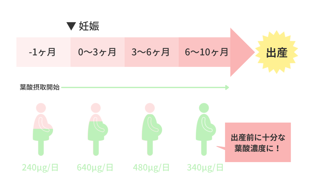 売れ筋 葉酸サプリのおすすめ辛口ランキング13選 妊娠中に人気の市販で買える高コスパなサプリメントを紹介 Erabo えらぼ みんなが選ぶ おすすめが集まる情報サイト